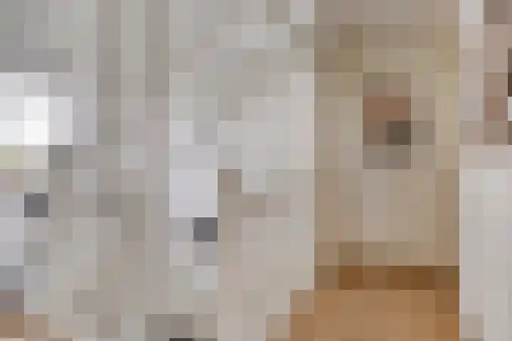 Lover 120 Borne thumbnail 19