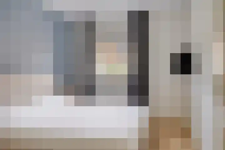 Lover 120 Borne thumbnail 20