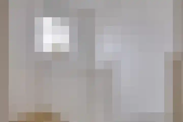 Lover 120 Borne thumbnail 27