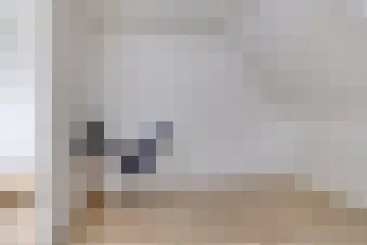 Lover 120 Borne thumbnail 29