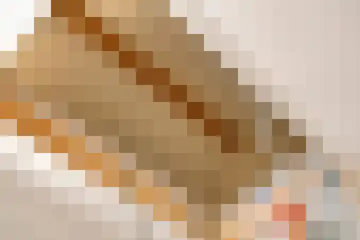 Lover 120 Borne thumbnail 30