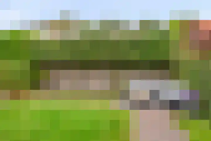 Lover 120 Borne thumbnail 34