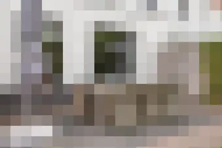 Lover 120 Borne thumbnail 35