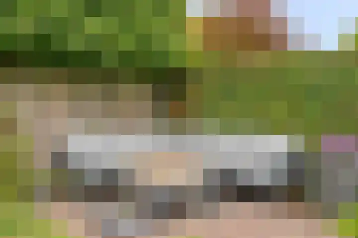 Lover 120 Borne thumbnail 36