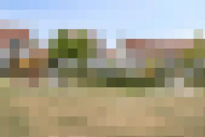 Lover 120 Borne thumbnail 39