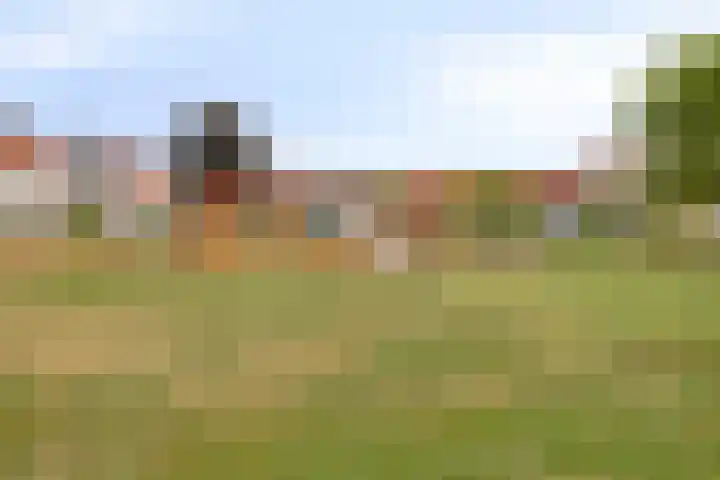 Lover 120 Borne thumbnail 40
