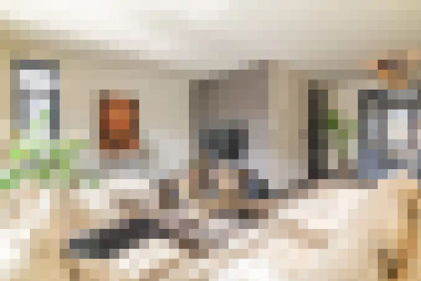 Lover 122 Borne thumbnail 10