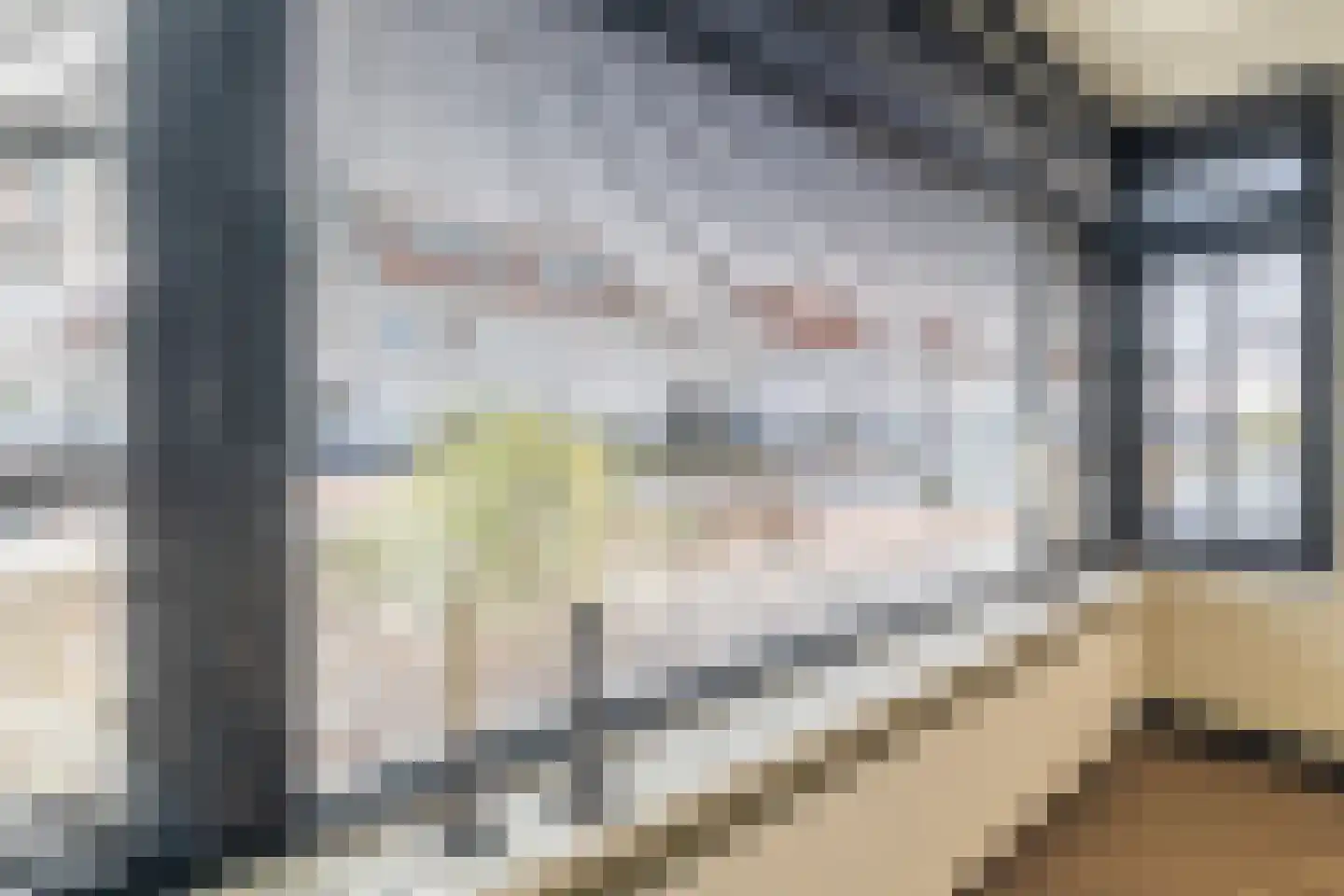 Lover 122 Borne thumbnail 11
