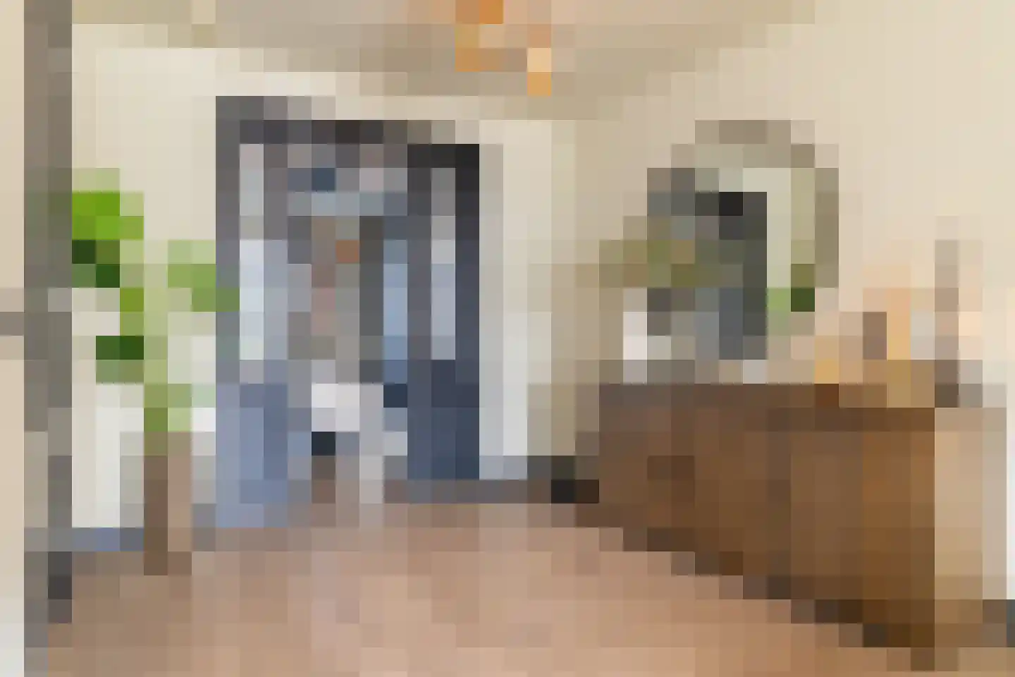 Lover 122 Borne thumbnail 12