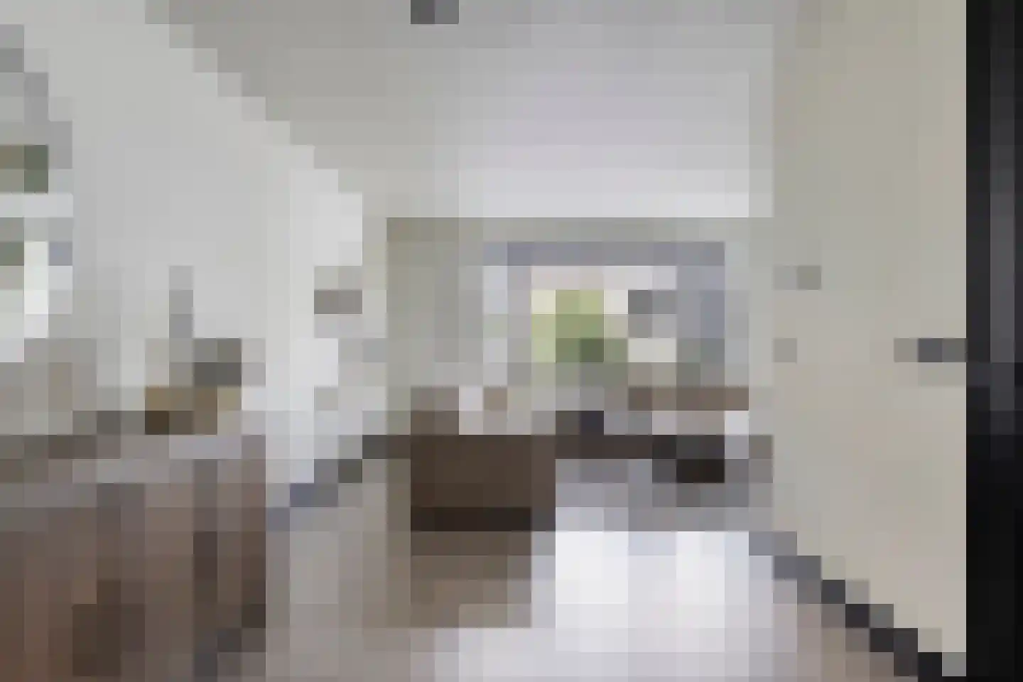 Lover 122 Borne thumbnail 14