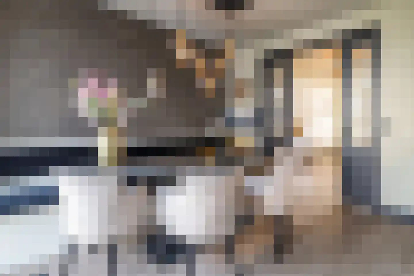 Lover 122 Borne thumbnail 15