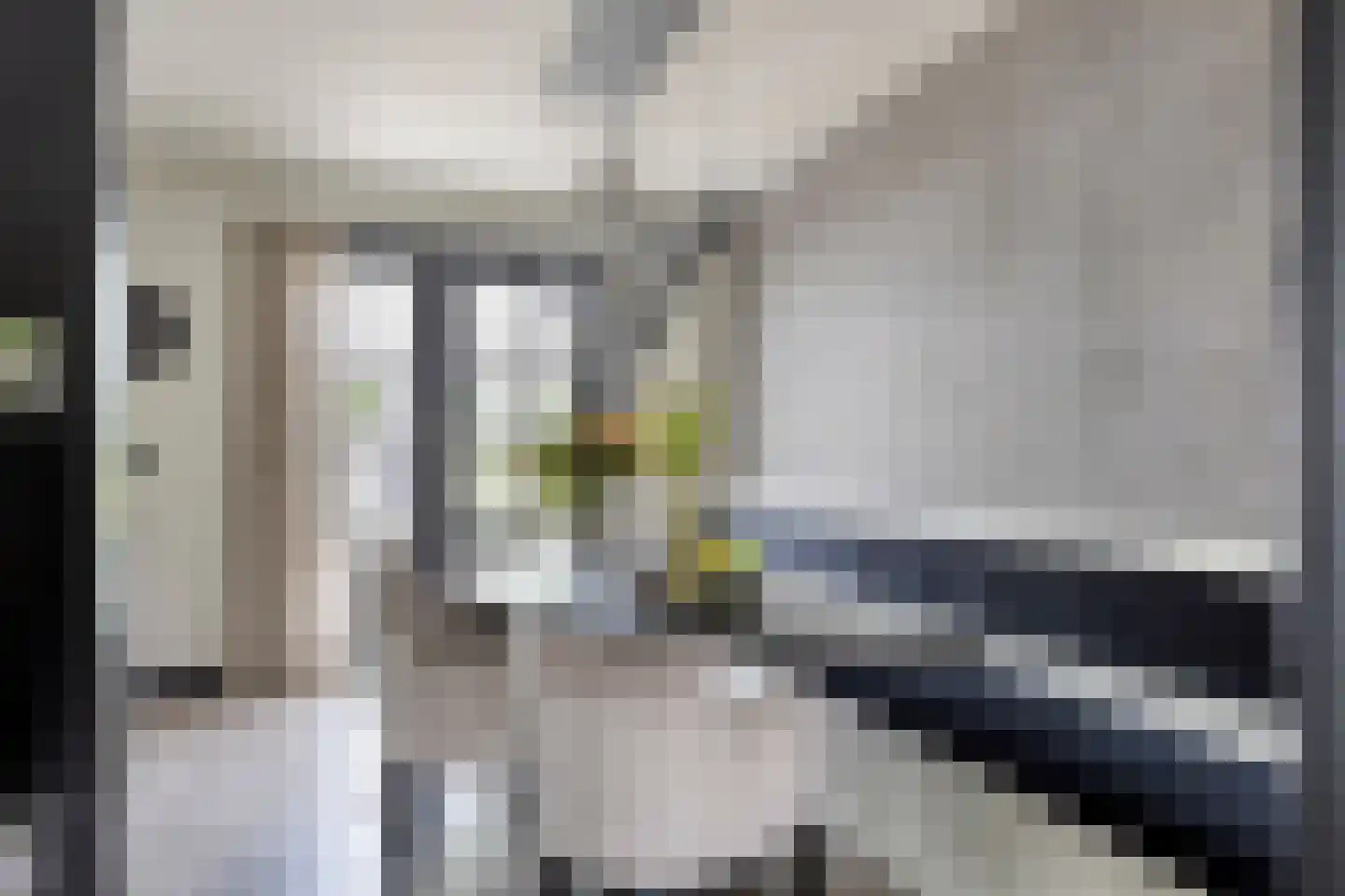 Lover 122 Borne thumbnail 19