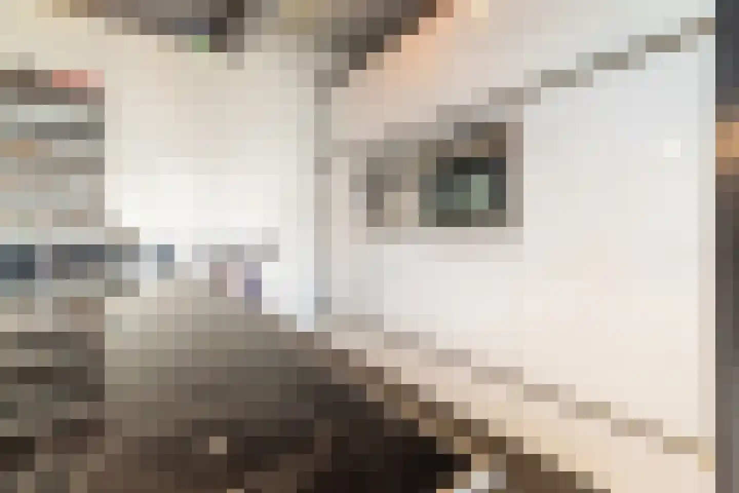 Lover 122 Borne thumbnail 19