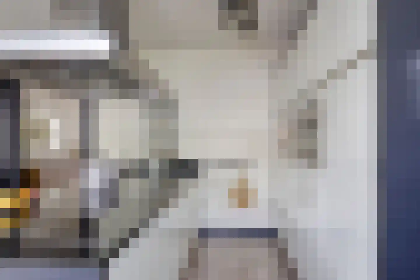 Lover 122 Borne thumbnail 20