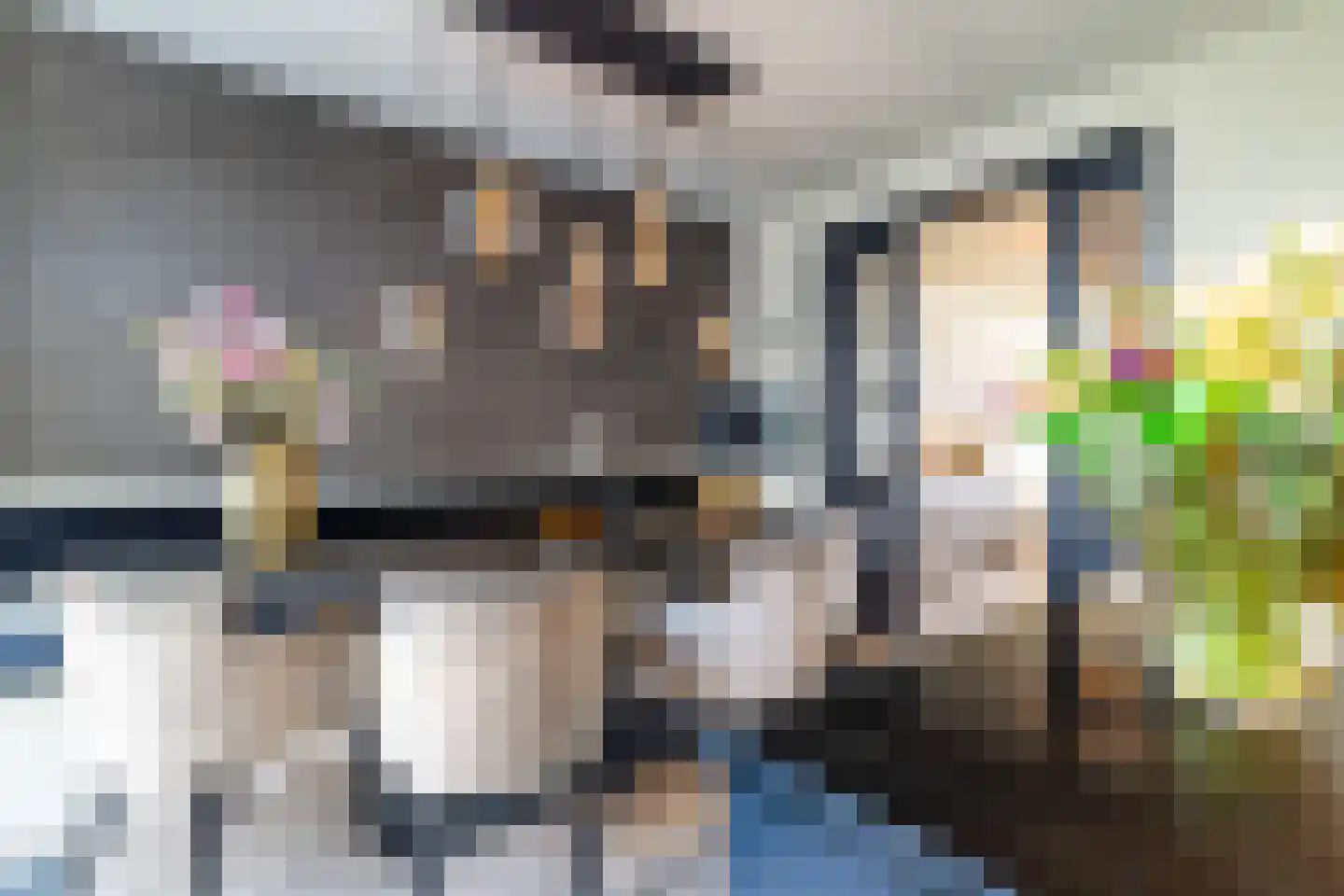 Lover 122 Borne thumbnail 22