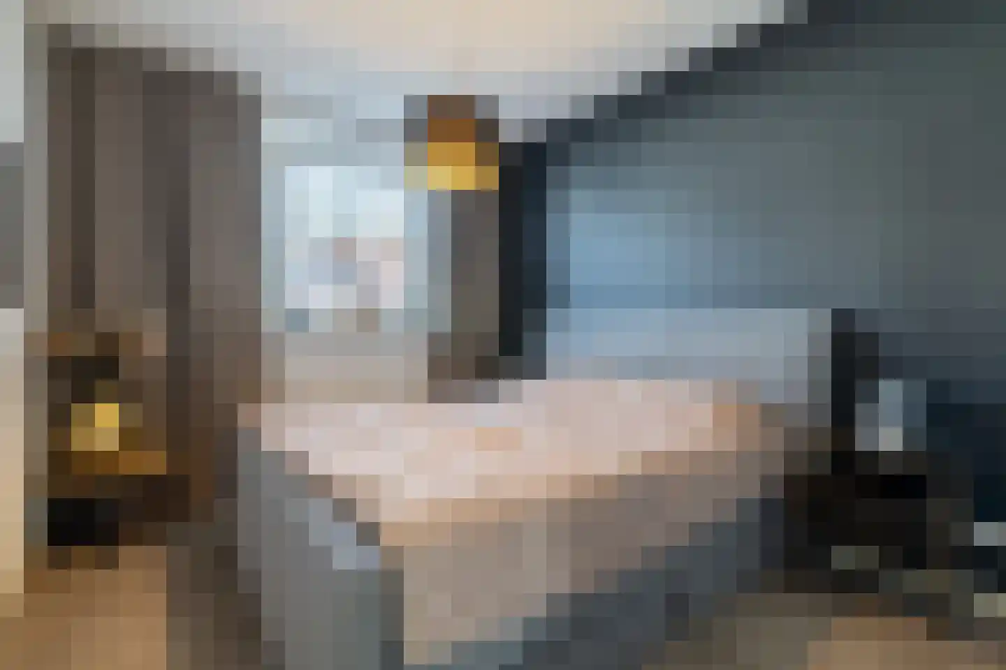 Lover 122 Borne thumbnail 26