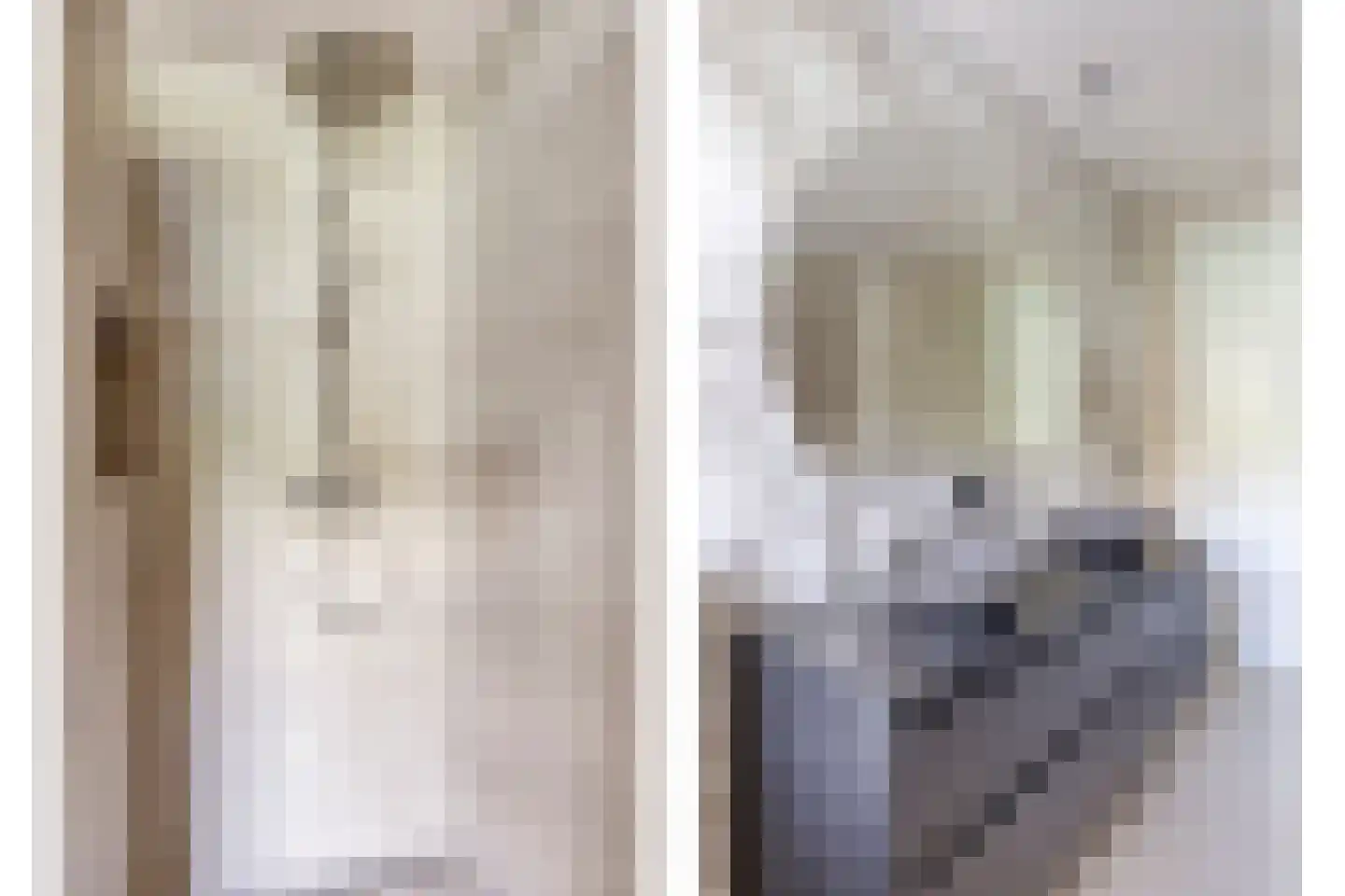 Lover 122 Borne thumbnail 29