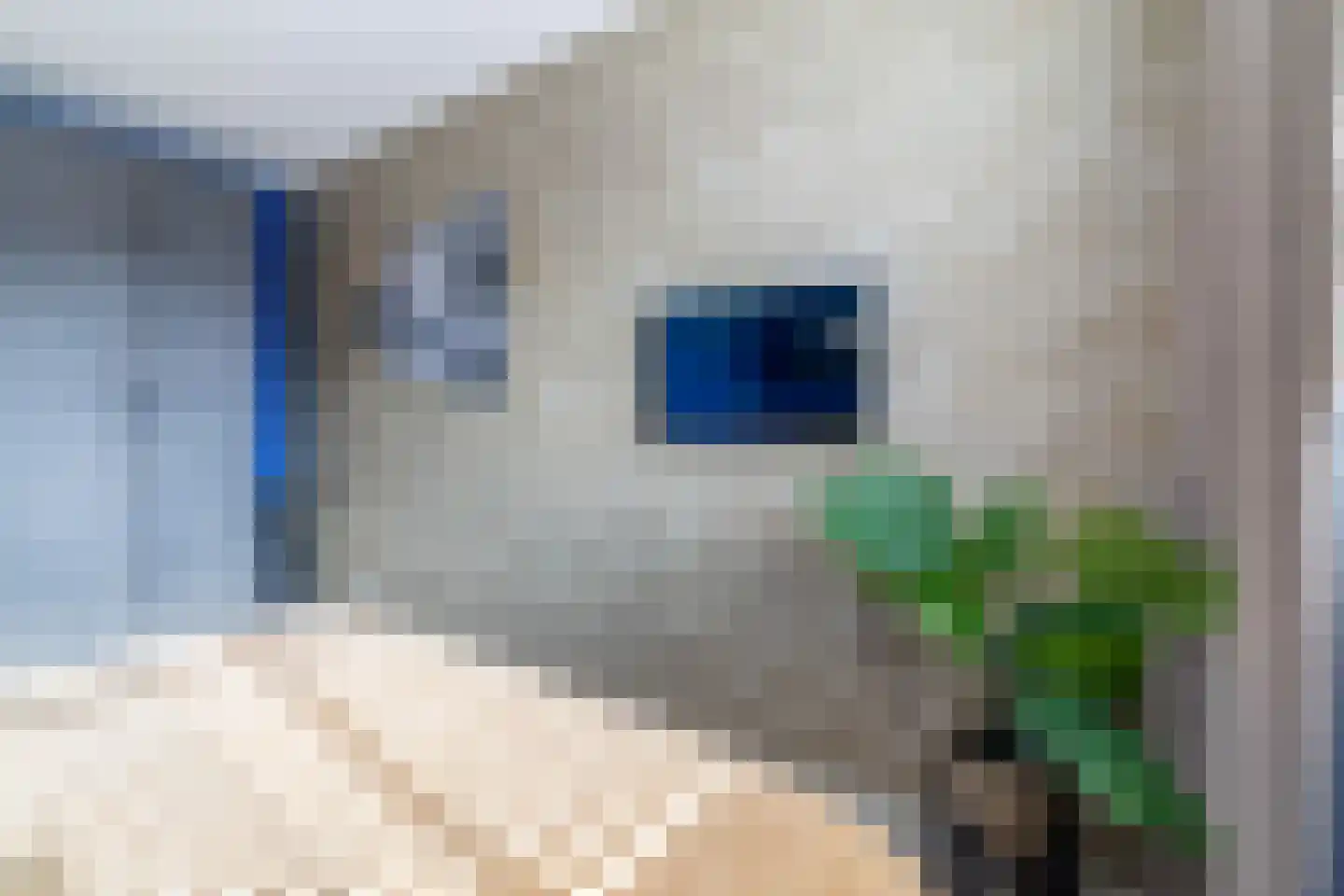 Lover 122 Borne thumbnail 31