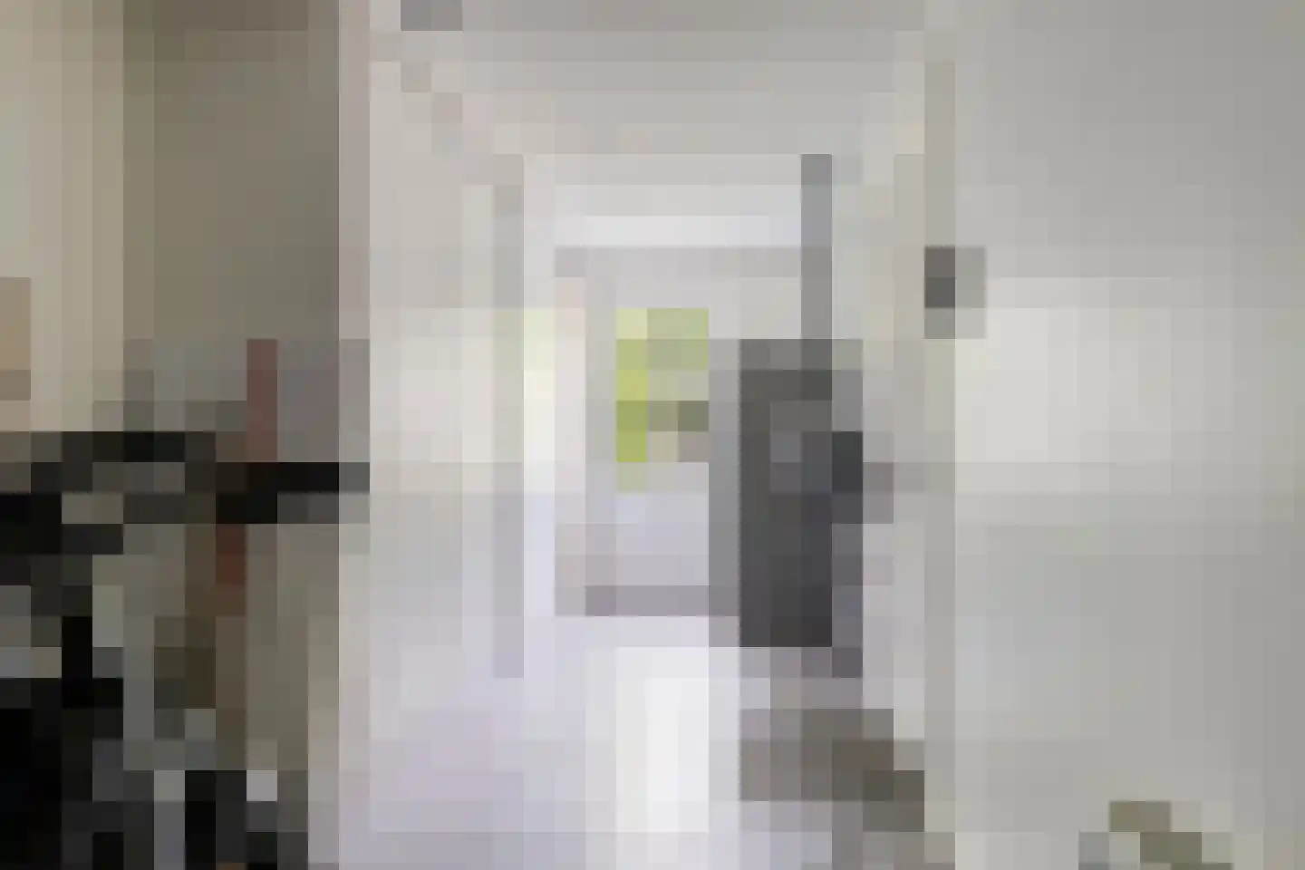 Lover 122 Borne thumbnail 35