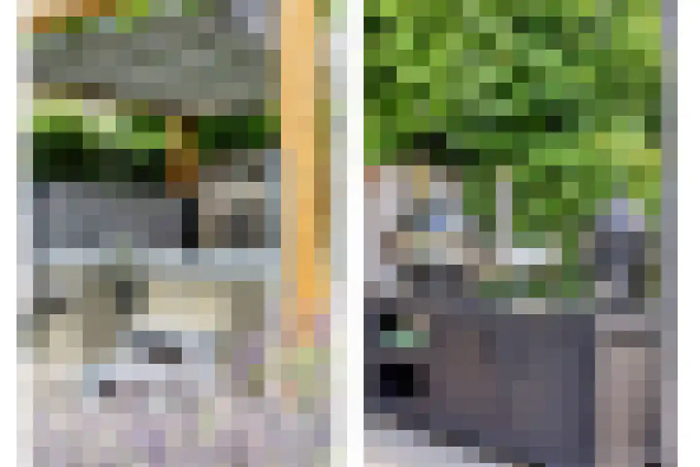 Lover 122 Borne thumbnail 38