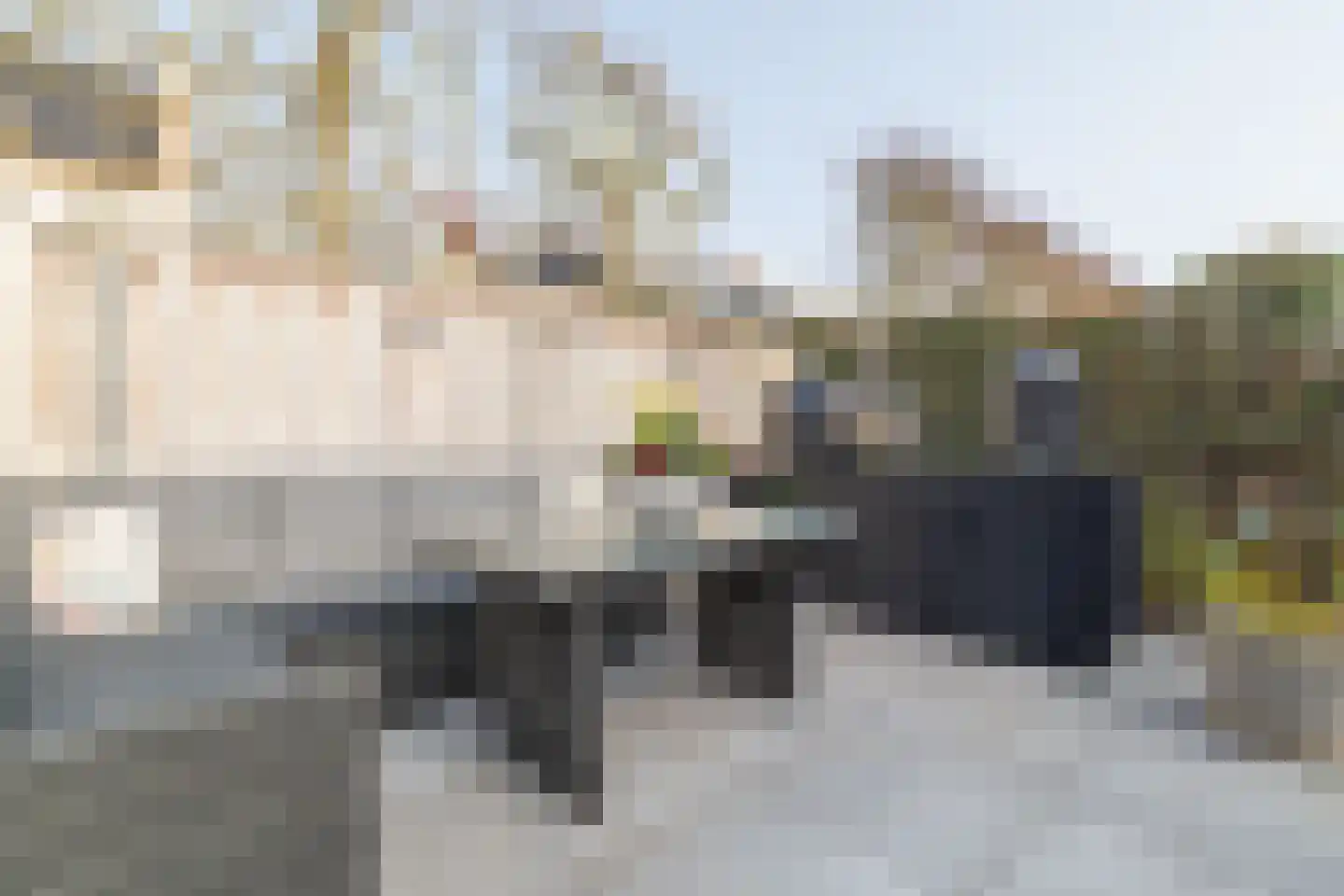 Lover 122 Borne thumbnail 47
