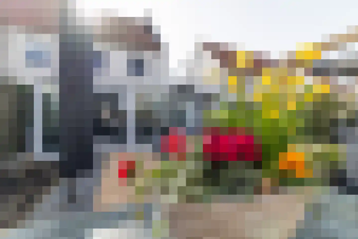 Lover 122 Borne thumbnail 50
