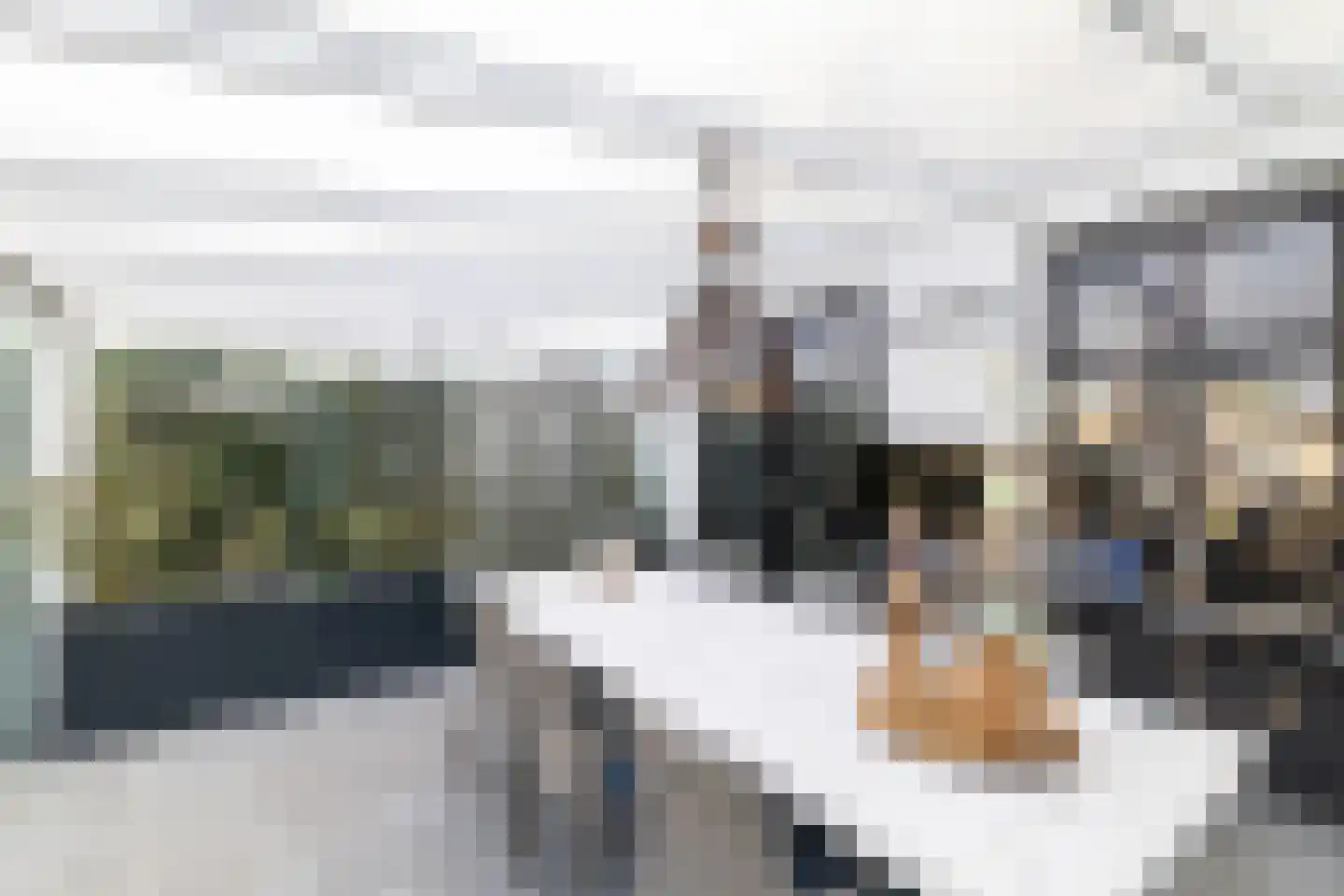 Lover 122 Borne thumbnail 53