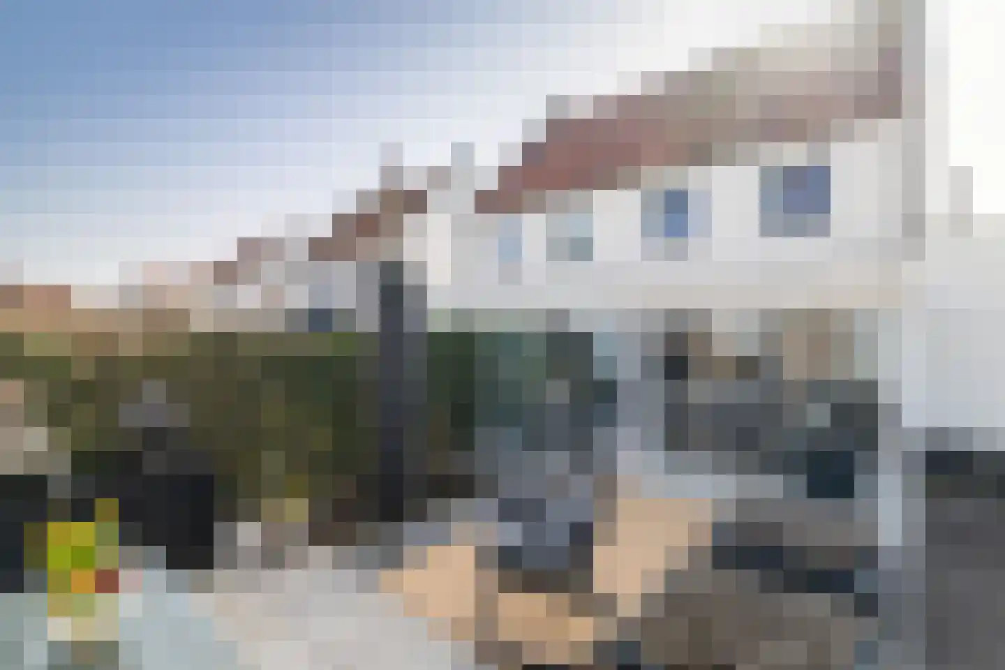 Lover 122 Borne thumbnail 57