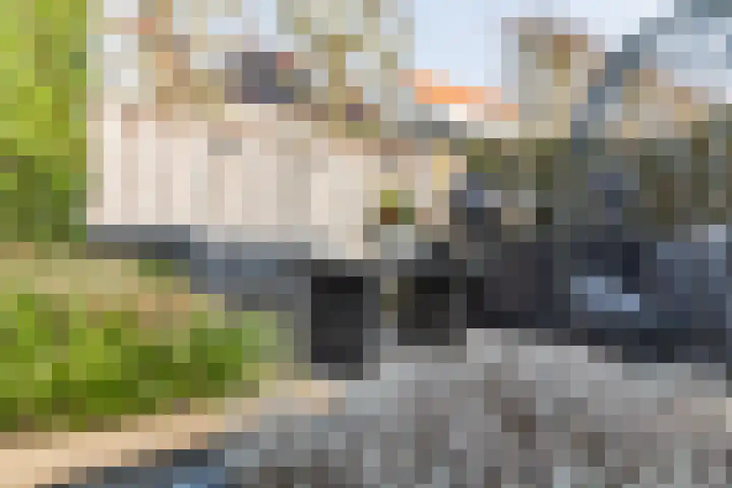 Lover 122 Borne thumbnail 58