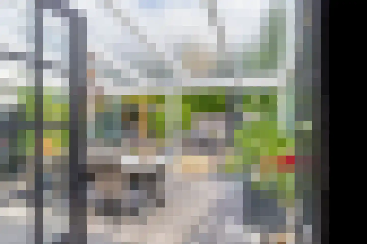 Lover 122 Borne thumbnail 8