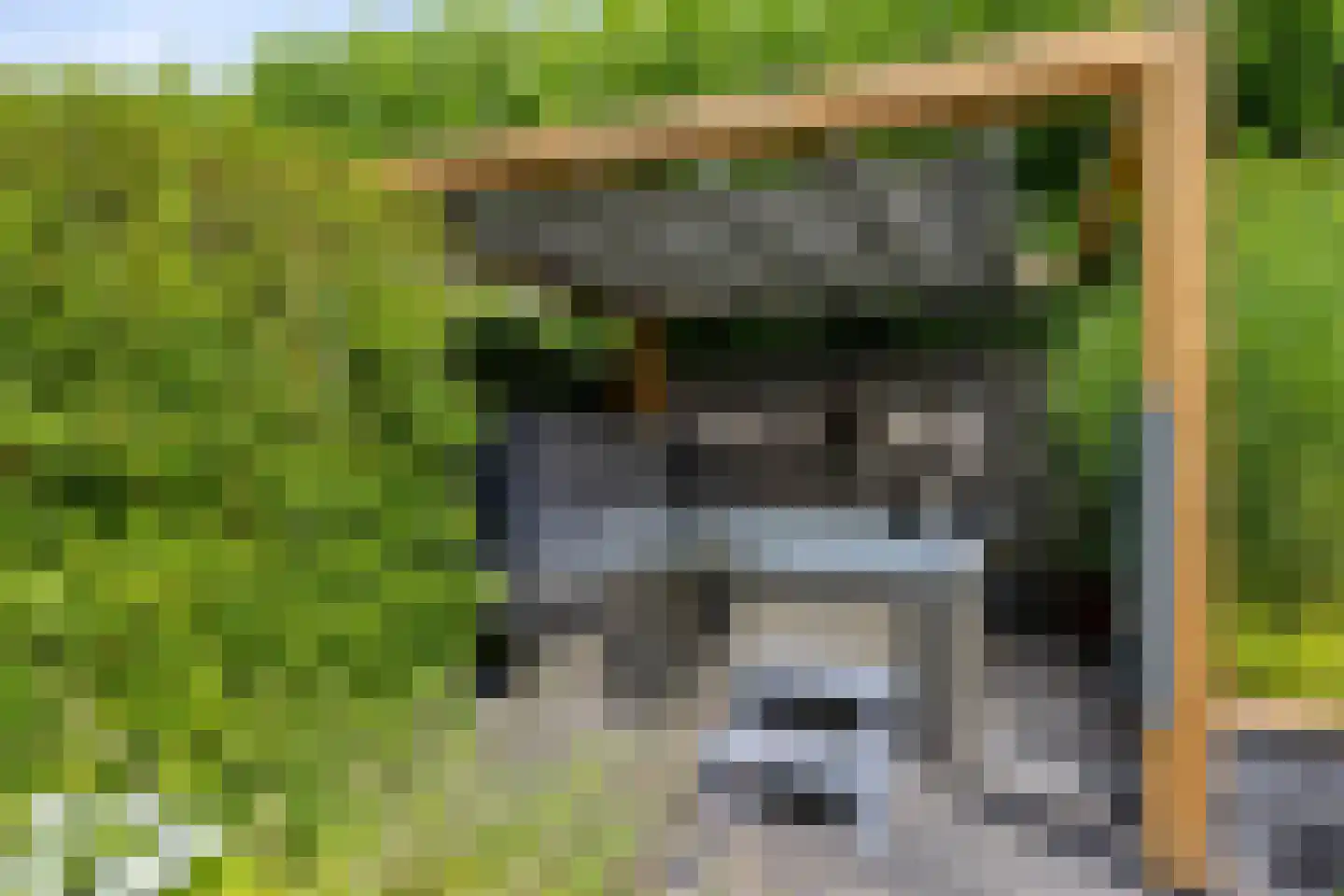 Lover 122 Borne thumbnail 9