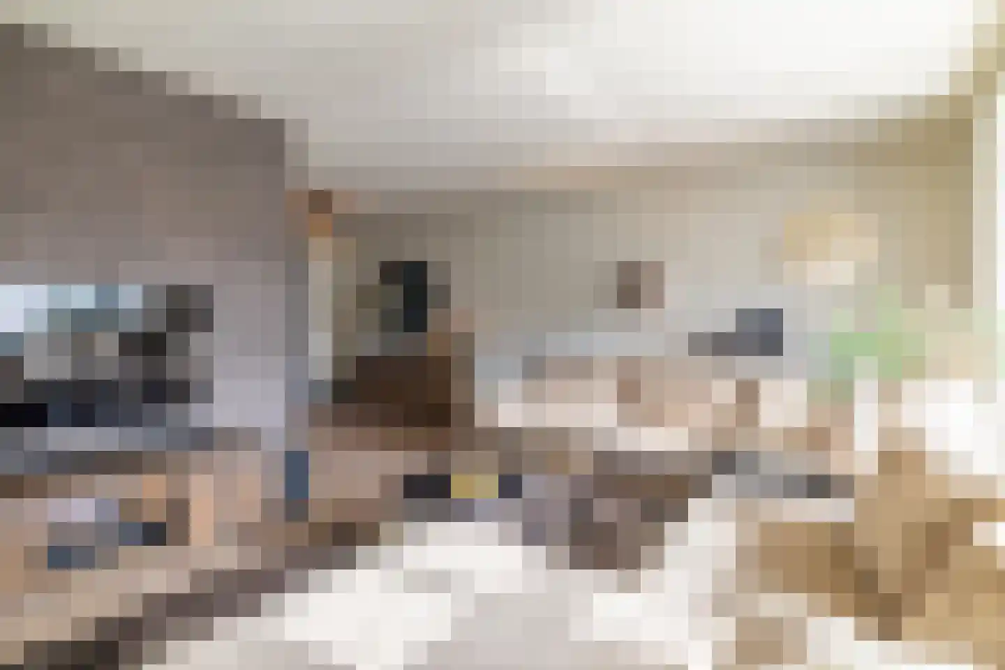 Lover 122 Borne thumbnail 9