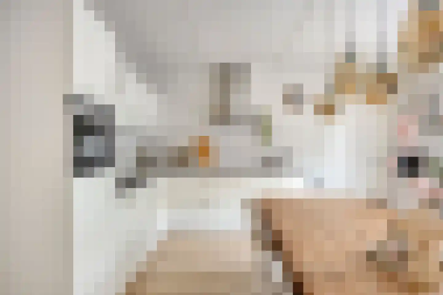 Lover 125 Borne thumbnail 14