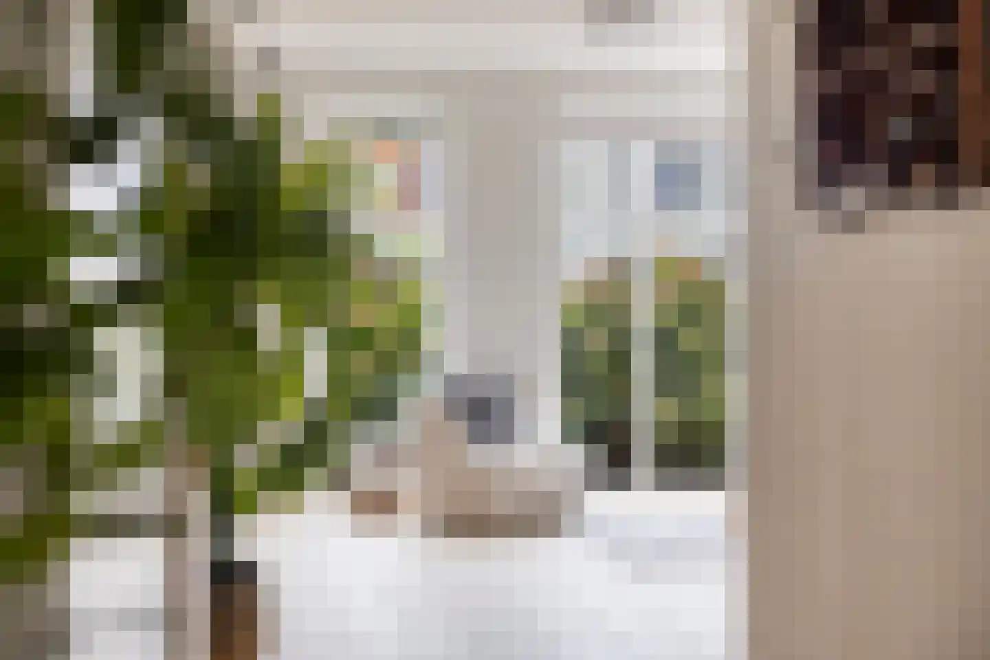 Lover 125 Borne thumbnail 16