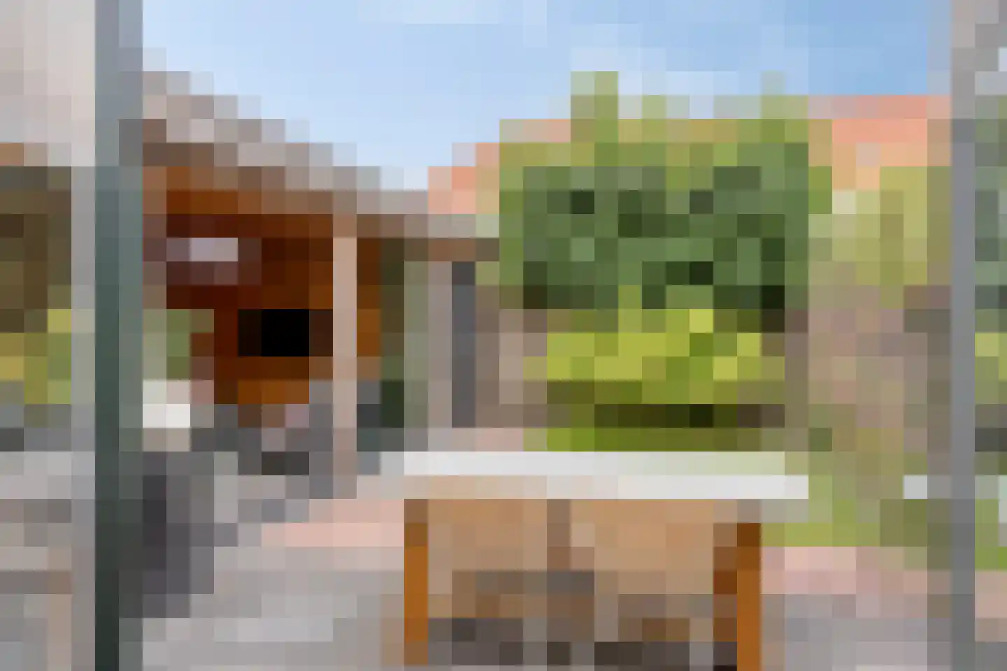 Lover 125 Borne thumbnail 32