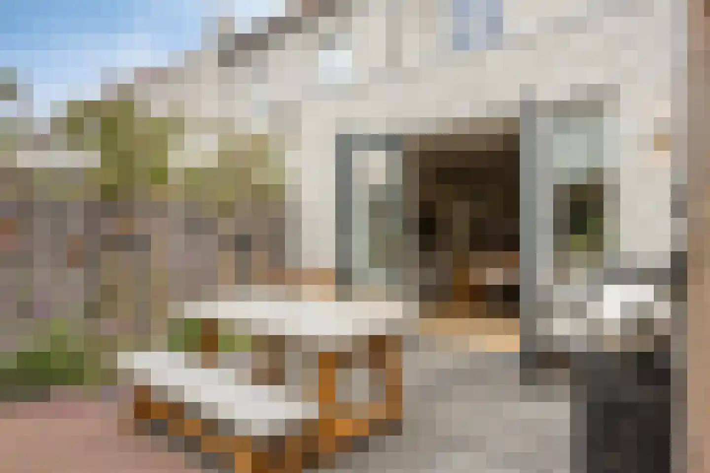 Lover 125 Borne thumbnail 33