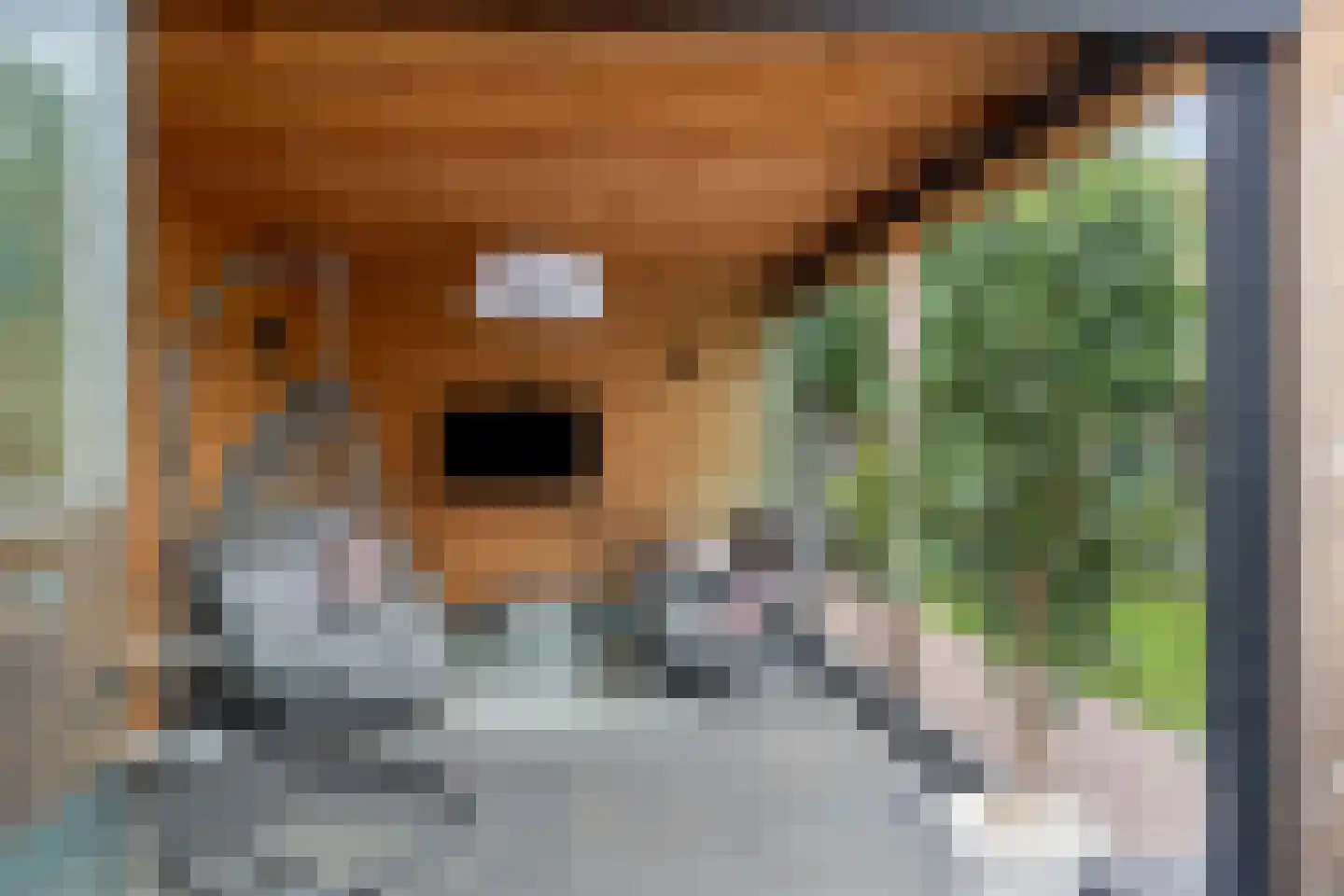 Lover 125 Borne thumbnail 34