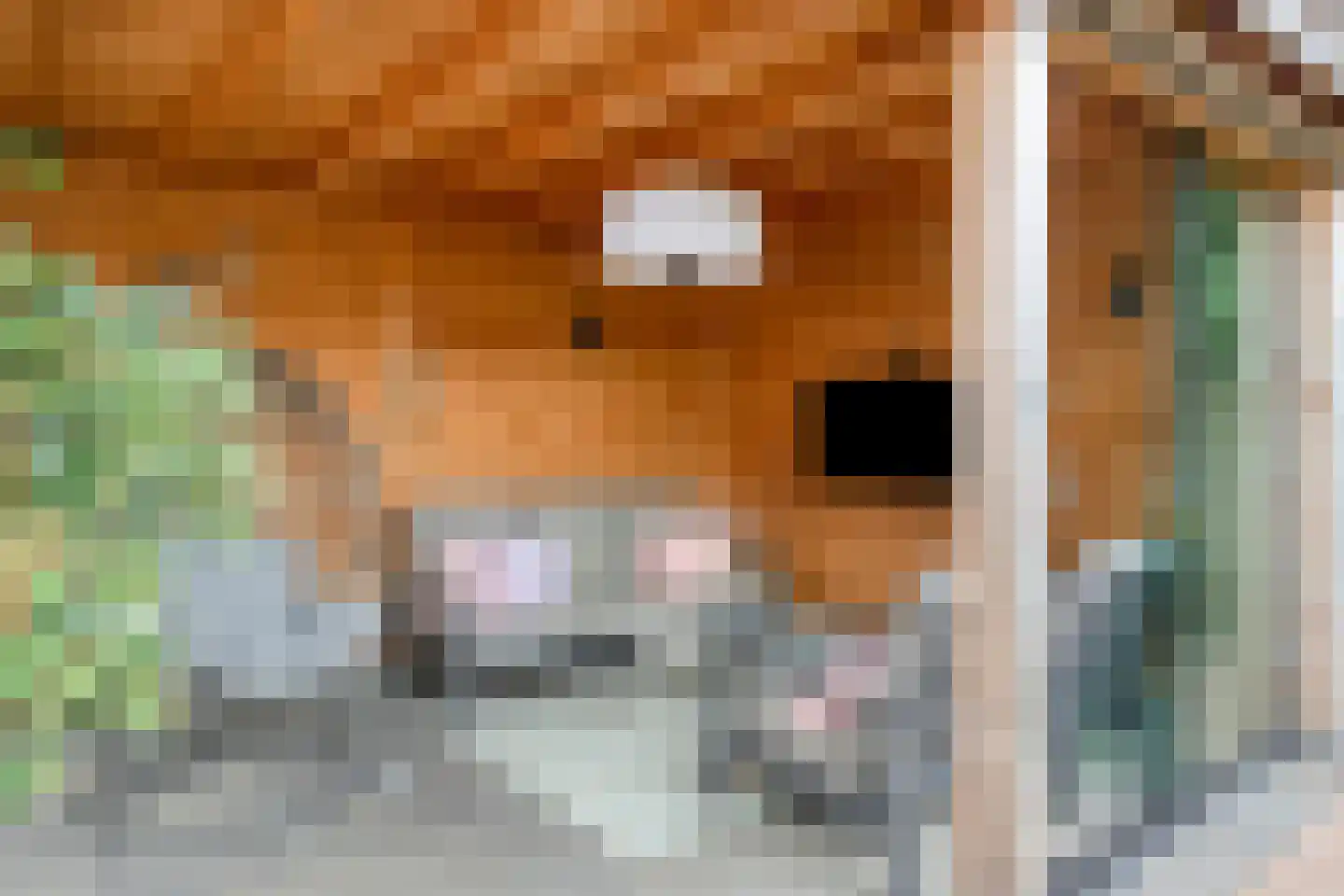 Lover 125 Borne thumbnail 36