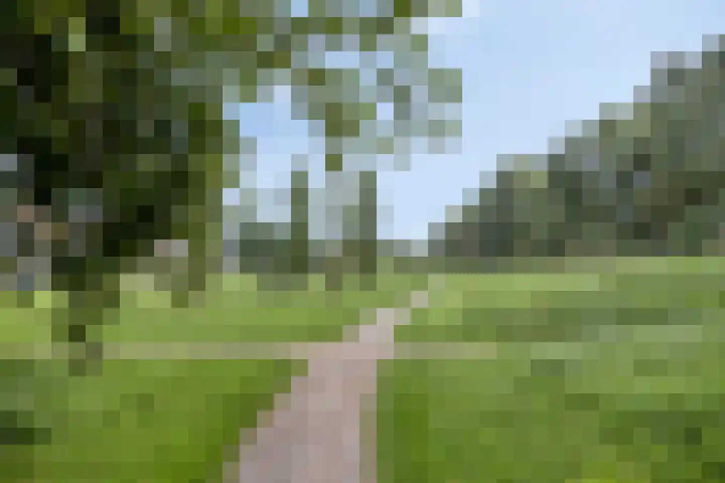 Lover 125 Borne thumbnail 40