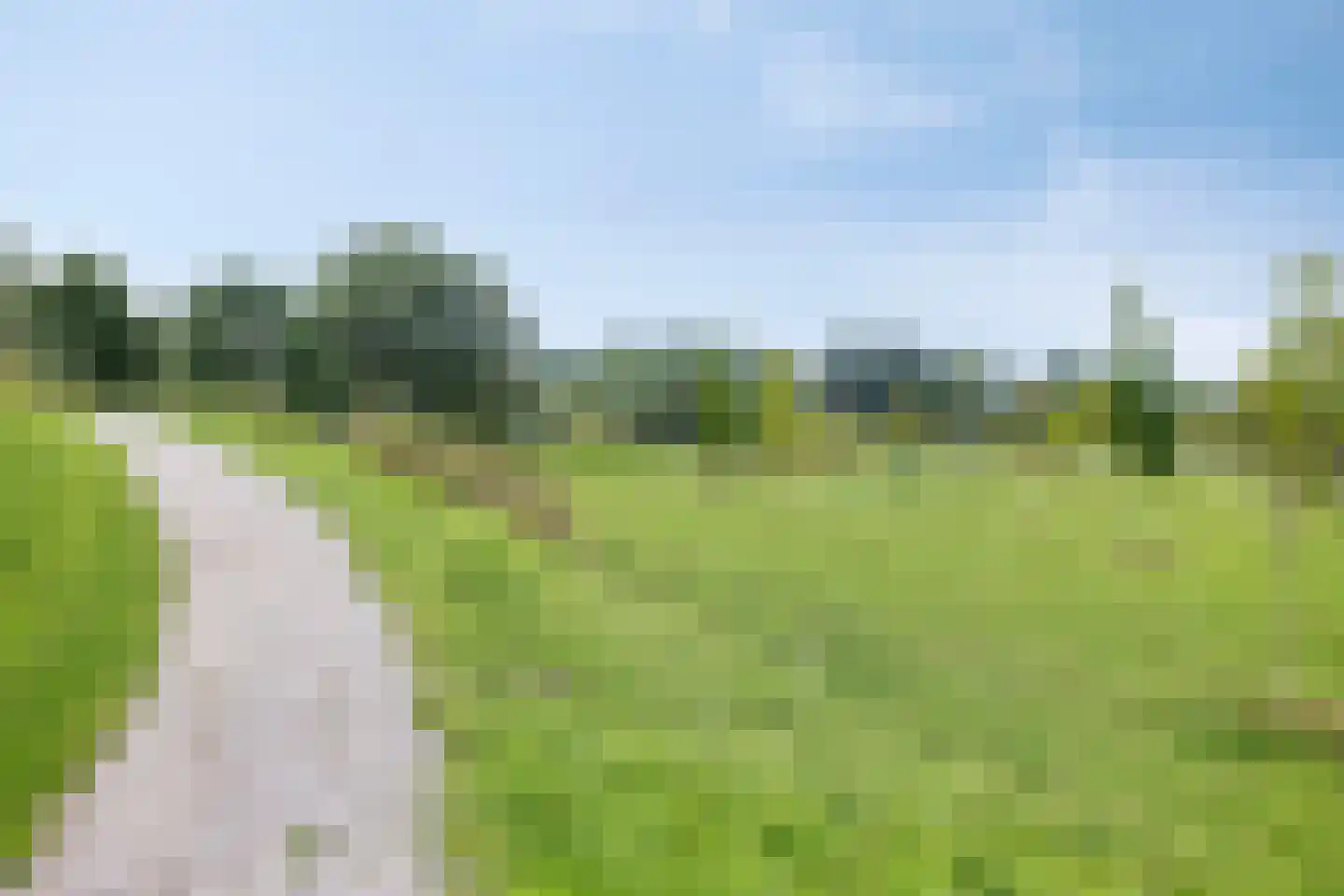 Lover 125 Borne thumbnail 41