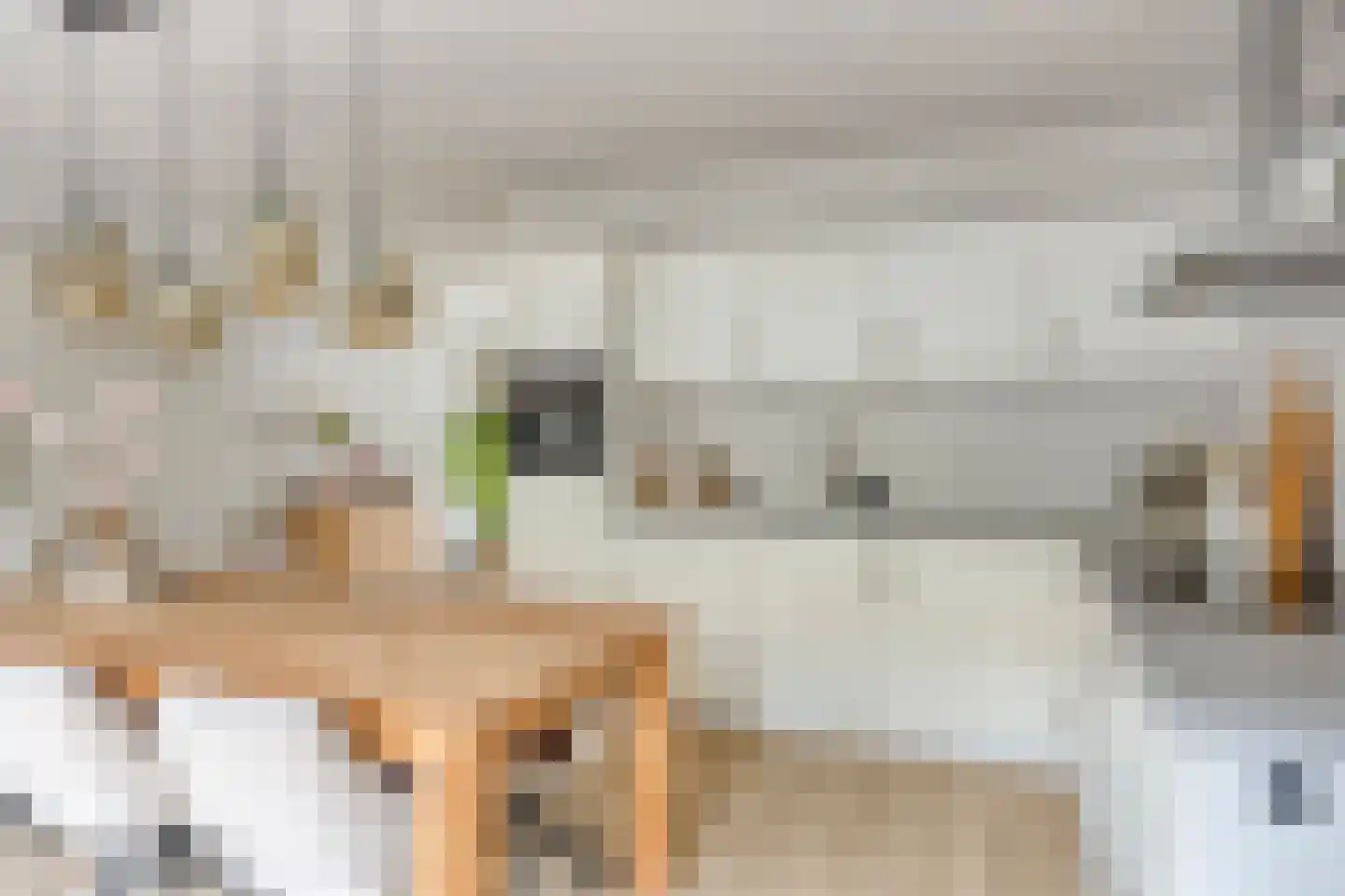 Lover 125 Borne thumbnail 7