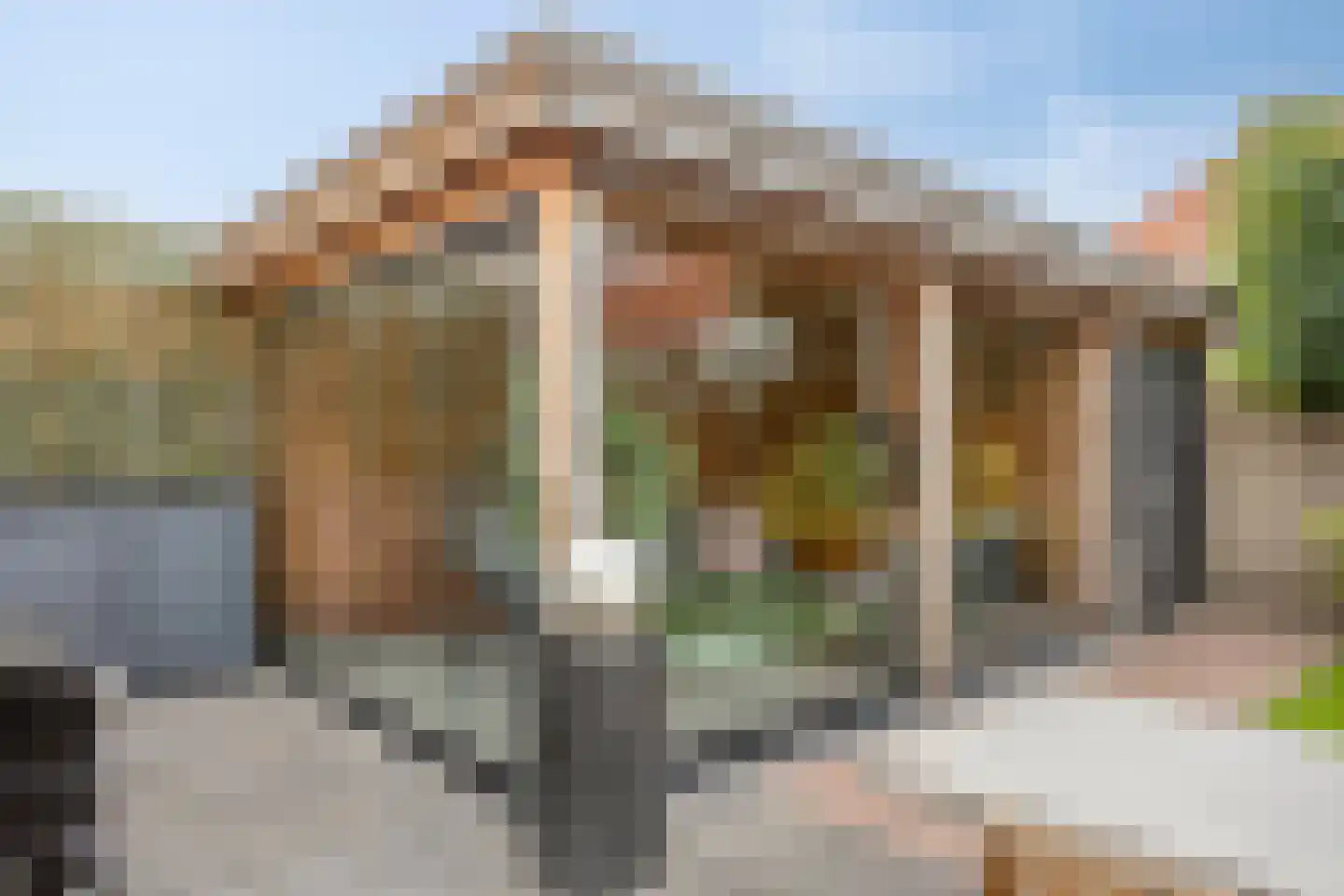 Lover 125 Borne thumbnail 9