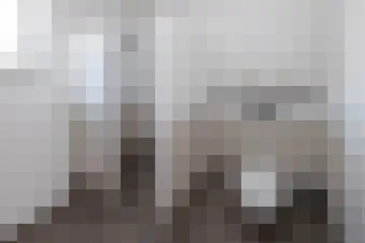 Lover 137 Borne thumbnail 16
