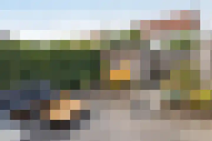Lover 137 Borne thumbnail 19