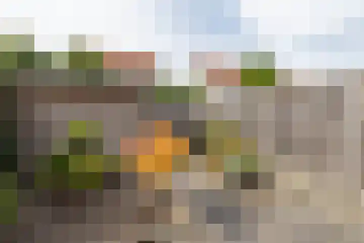 Lover 137 Borne thumbnail 20