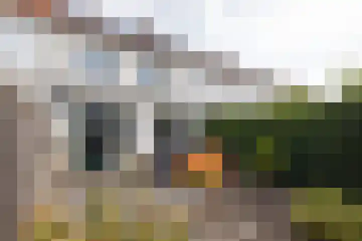 Lover 137 Borne thumbnail 22