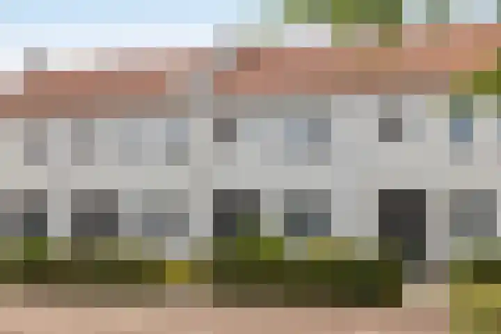 Lover 137 Borne thumbnail 24