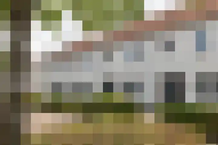 Lover 137 Borne thumbnail 25