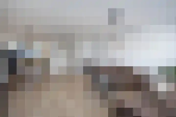 Lover 137 Borne thumbnail 6