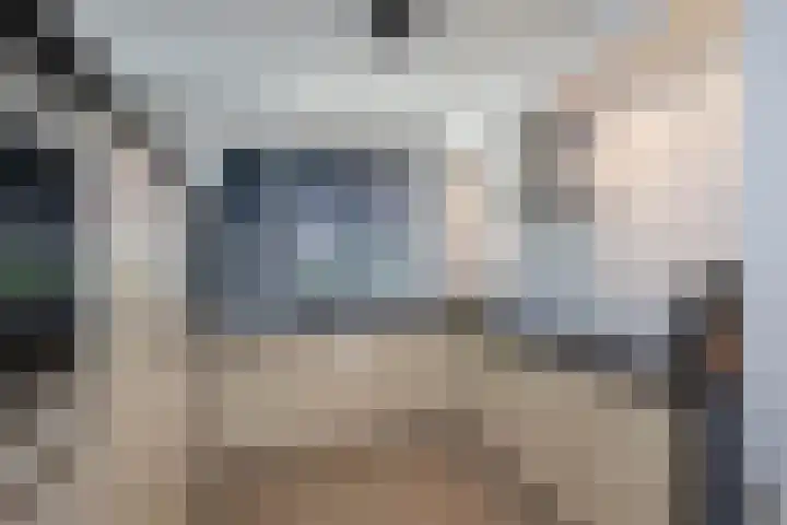 Lover 137 Borne thumbnail 9